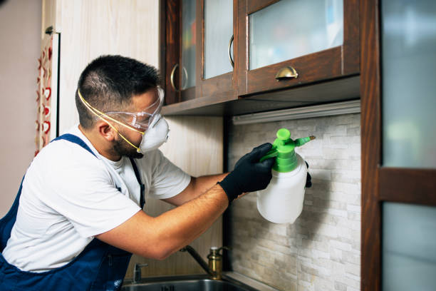 Pest Control Cost in Kingston, OK
