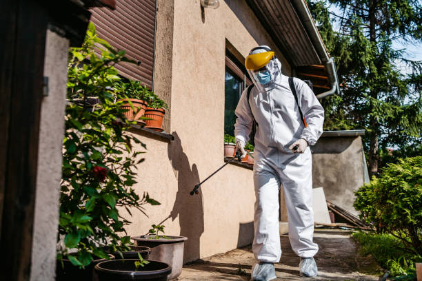 Best Affordable Pest Control Services  in Kingston, OK