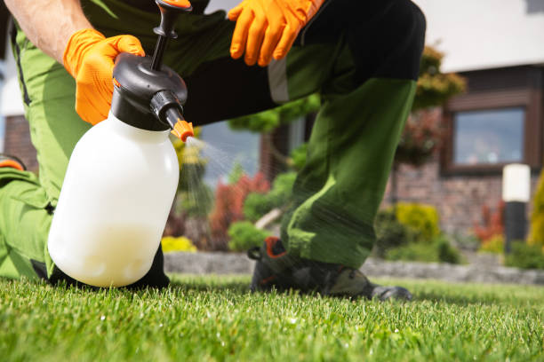 Reliable Kingston, OK Pest Control Solutions