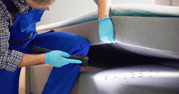 Best Pest Control for Homes  in Kingston, OK